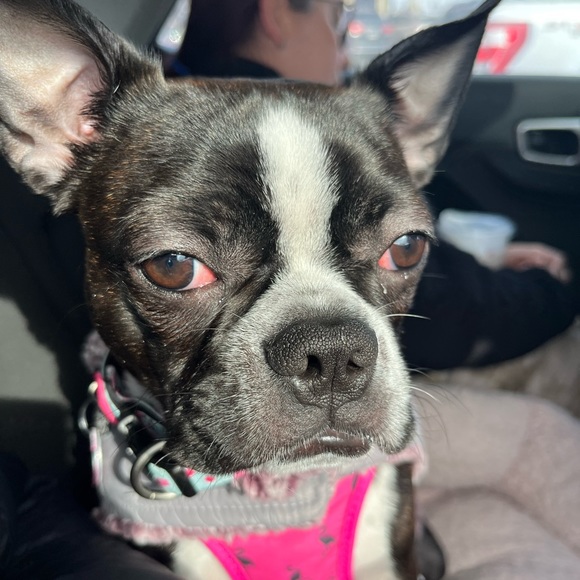 Meet your Posher, Autumn - Picture 1 of 1